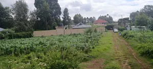 Plots for Sale in Kikuyu Sigona Kerwa