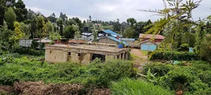 Kikuyu Plots for Sale Sigona(100x100fts)