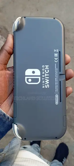 Chipped Nintendo Switch Lite