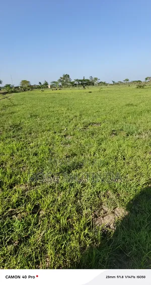 3acres Ar Koma