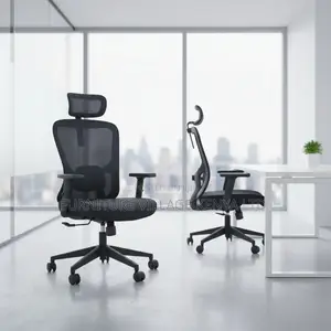 Black Ergonomic Mesh Adjustable Home Chair