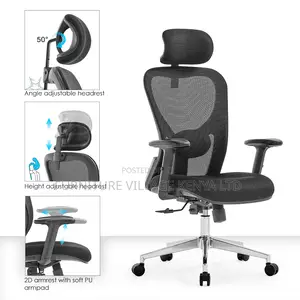 Black Ergonomic Mesh Adjustable Home Chair