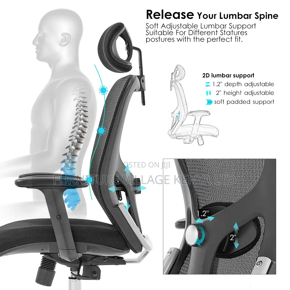 Black Ergonomic Mesh Adjustable Home Chair