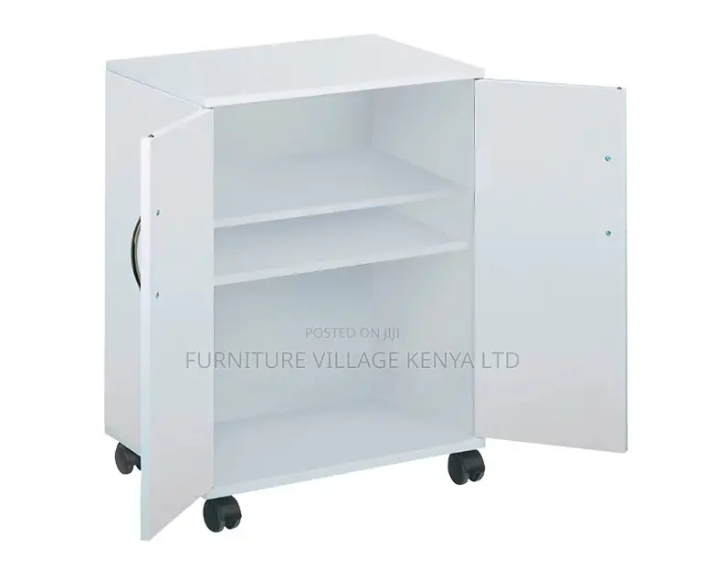 Customized 2-Door Document Credenza Cabinet