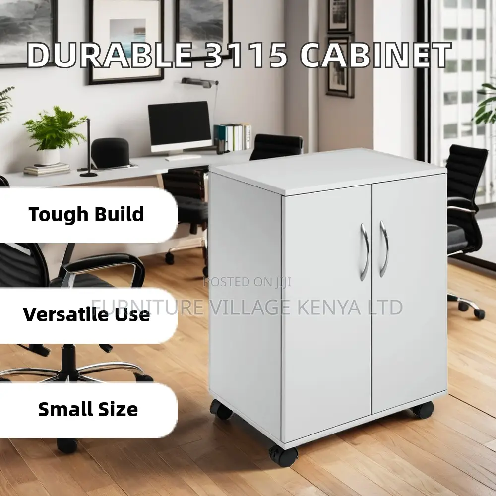 Customized 2-Door Document Credenza Cabinet