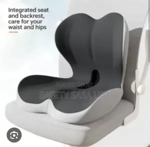 Integrated Seat and Back Rest Care