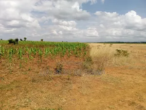 18 Acres for Sale at Salama Nyahururu Laikipia