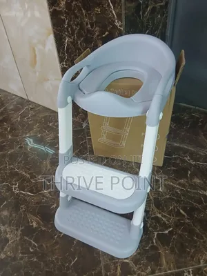 Toilet Ladder