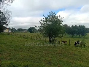 Land for Sale in Prime Karen