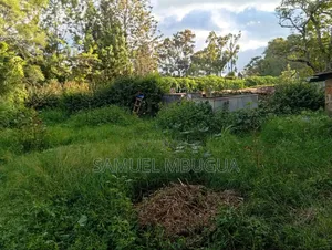 Land for Sale in Kikuyu
