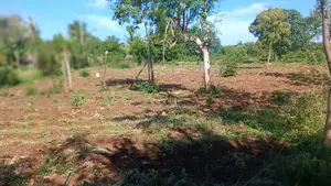 1 Acre of Land