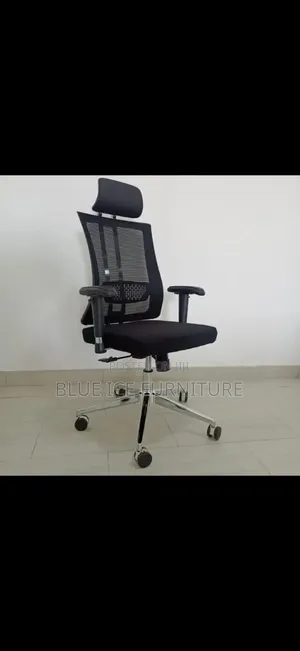 Modern Office Chair With Metallic Backsupport