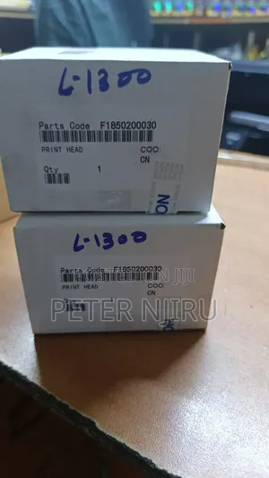 Epson L1300 Printhead Available