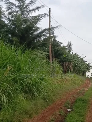 1/4 Acre in Matasia