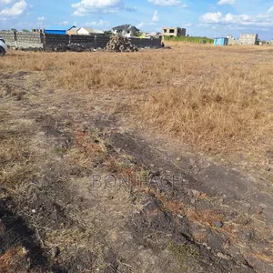 Land for Sale 40 by 80 Juja Farm Kwa Murage