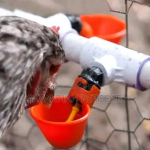 Broiler Chicken Drinkers and Feeders Poultry Chicken Drinker With Cup