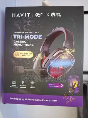 Havit H2039bg Tri-Mode Gaming Headphone With RGB