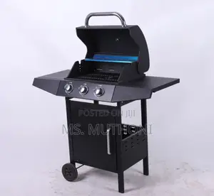 Outdoors 3-Burner Propane Gas Barbecue Grill