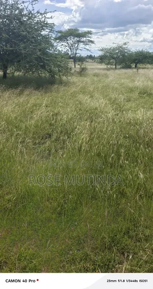 3acres at Nguluni