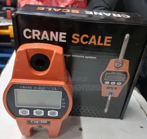 Crane Scale