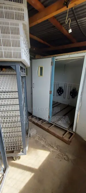 Incubation Services/Automatic Incubator 9000eggs