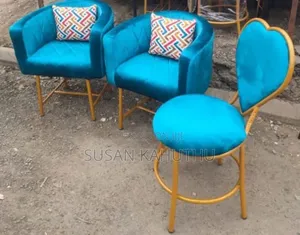Alluring Parlour/ Salon Seats