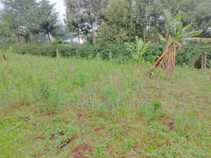 Plot for Sale 50 by 100 at Subukia Kabazi