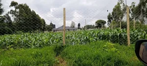 Kikuyu Sigona Prime and Residential Plots