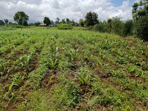 Selling Land in Kirinyaga County