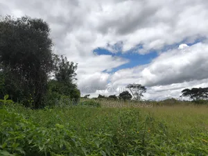 Residential Quarter Acre Plot for Sale in Ngong, Ol Keri