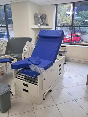 Gynecological Examination Bed (Delivery Bed)