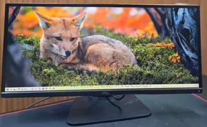 Dell 29inch Monitor Model: U2913wht