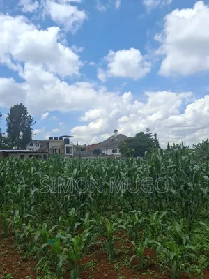 Runda Prime 1.5 Acres Touching Northern Bypass