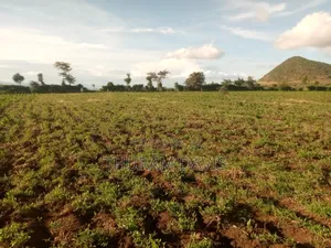 5 Acres Ruiri Rwarera