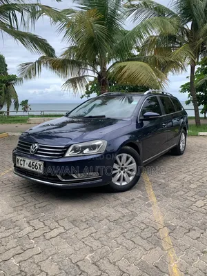 Volkswagen Passat 2012 Blue