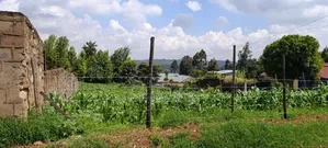 Kikuyu Residential and Prime Plots (100x100fts)