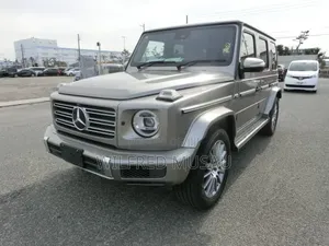 Mercedes-Benz G-Class 2021 Gray