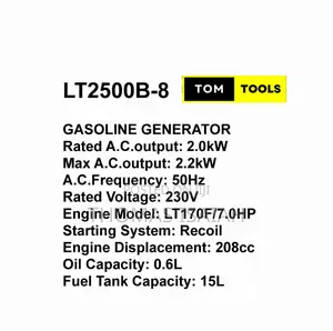 Lt3900eb-8 3.0kw Low Noise Petrol Generator With Avr