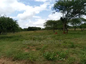 15 Acres for Sale in Kajiado