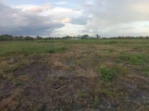Kitengela-Isinya Land for Sale