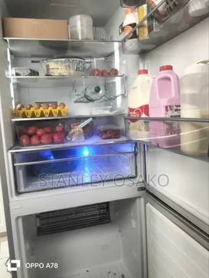 Fridge Repair/Gas Refill