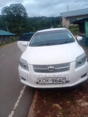 Toyota Axio 2008 White
