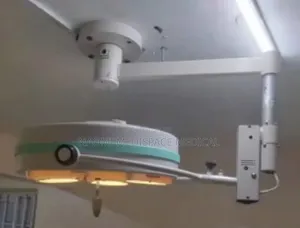 Ceiling Mounted Halogen Theatre Light