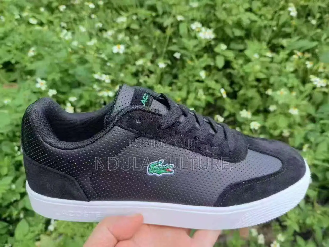 Lacoste Casuals Sneakerz