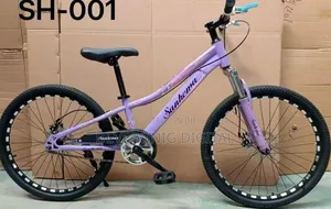 Sanhema Bike Size 24 Bicycle