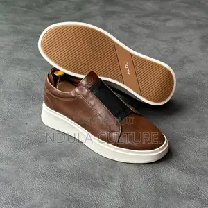 Aldo Casual Shoes