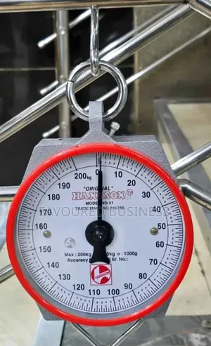 Rate Hannson Scale / Best Price 200kg Hanging Scale
