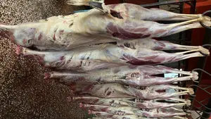 Fresh Halal Goat Meat Mutton - Bismillah Prime Cuts