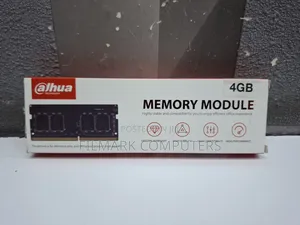 Dahua 4 Gb Pc3 12800 1600mhz Laptop Ram-Dhi-DDR-C160s4g16