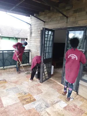 Popular Cleaning of Mattress,Sofa Kitchen
